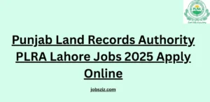 Punjab Land Records Authority PLRA Lahore Jobs 2025 Apply Online